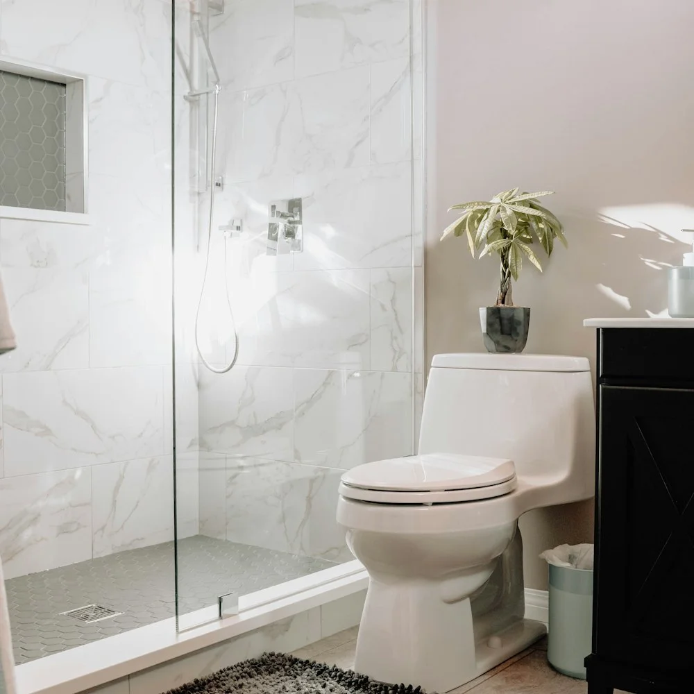 In Wall Cistern with Push Plate